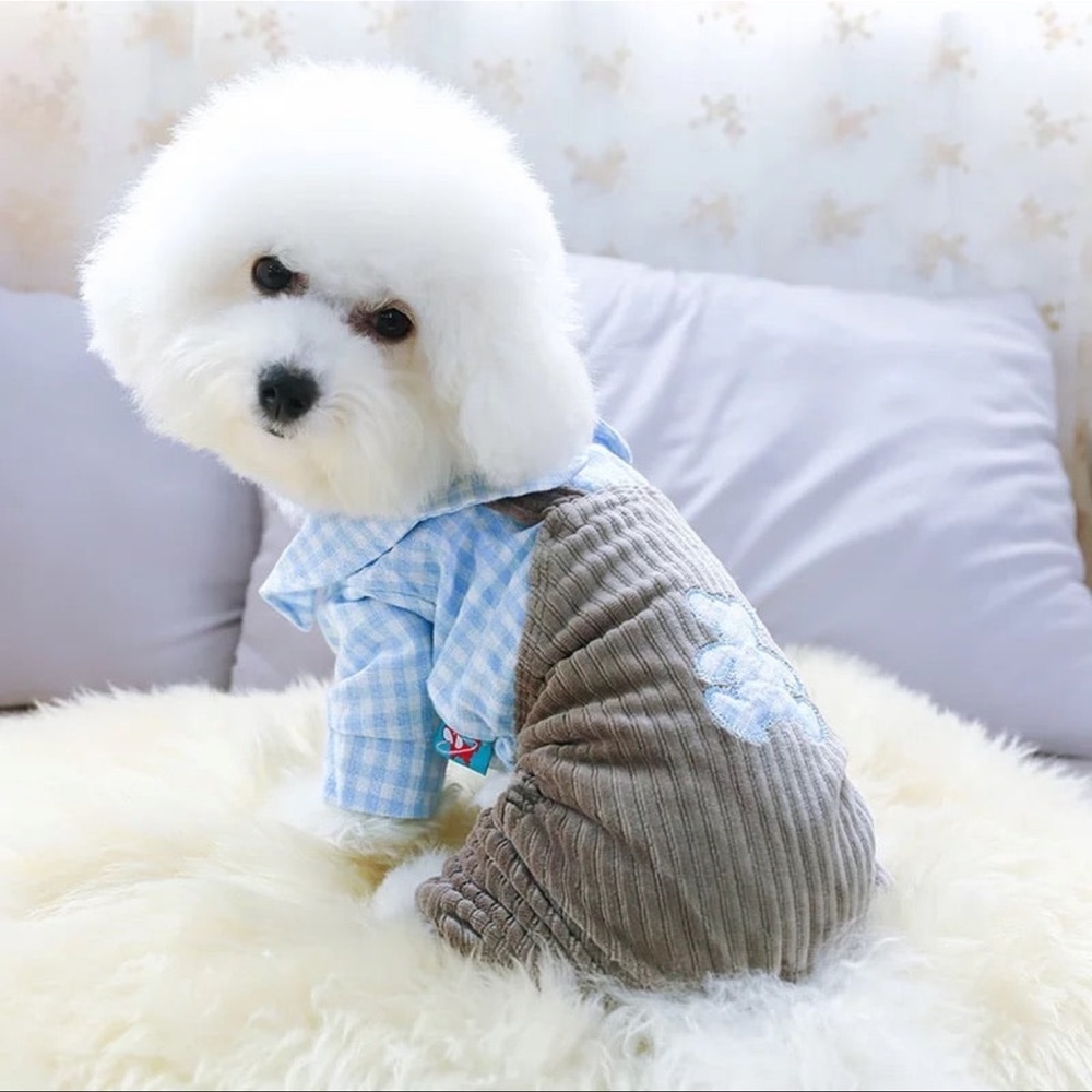 Dog blue jumpsuit